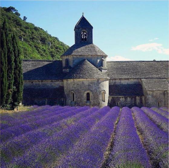 Mas Oréa côté piscine Gordes Exterior foto